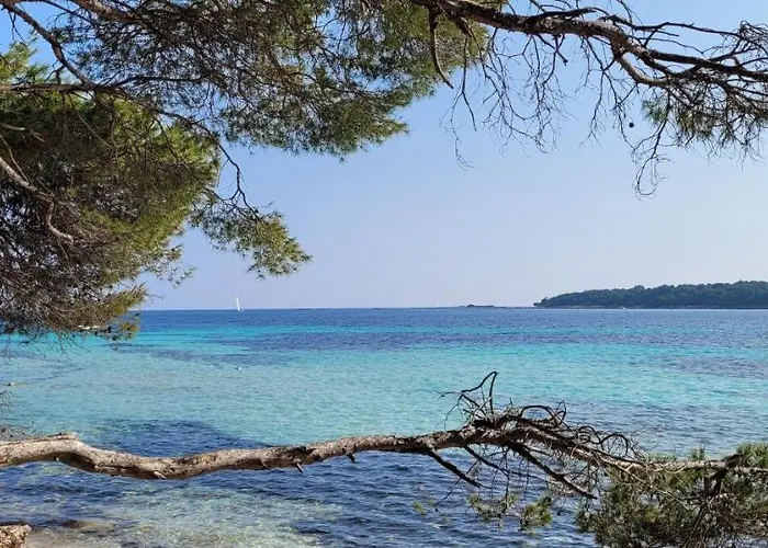 Les Grenadines Du Samedi Au Samedi Apartament *